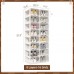 ANTBOX Portable Shoe Rack Organizer, Stackable Sneaker Organizer Cabinet with Magnetic Door, Folding Design, Clear Plastic Storage Container, 8 Tier 16 Pairs (Clear) - ST2-D8