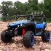 2025 UTV NEL-903 24V Two Seater Extra Large Size 4×4 Off-Road Ride On Car (Blue)