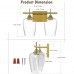 2-Light Bathroom Vanity Light, Indoor Wall Mount Light Fixture with Metal Frame, Clear Glass Shades for Home, Bathroom, Dressing Table (Gold)