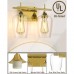 2-Light Bathroom Vanity Light, Indoor Wall Mount Light Fixture with Metal Frame, Clear Glass Shades for Home, Bathroom, Dressing Table (Gold)