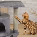 Cat Tree Tower, 32 inch Kitten Activity Center with Cat Ring, Padded Plush Perches, Scratching Posts, Jump Platform - 01HUI