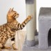 Cat Tree Tower, 30 inch Kitten Activity Center with Padded Plush Perche, Scratching Posts, Jump Platform - 11HUI