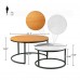 ODIKA 2-Piece Coffee Table Set, Modern Two Tone Nesting Coffee Tables with Industrial Wood Finish, Metal Frame for Home, Living Room - NT-CR-BRWH-81822