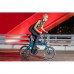 Fiido X 36V Folding E-Bike, 350W Torque Sensor Electric Bicycle with Removable Battery