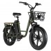 Fiido T1 Utility Electric Bike, 750W Cargo Bike with 7 Speeds, 200kg Capacity, 20-inch All Terrain Tires