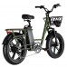 Fiido T1 Utility Electric Bike, 750W Cargo Bike with 7 Speeds, 200kg Capacity, 20-inch All Terrain Tires