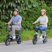 Adult Electric Scooter with Seat, 750W Motor, 14-Inch Pneumatic Tires, Front & Rear Disc Brakes, LCD Display, LED Headlight, Rear Basket, Folding Electric Scooter for Commuting, Gray and white Model HBCP1401