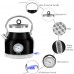 1.7L Electric Kettle with Thermometer, Retro Stainless Steel Water Tea Maker with Limescale Filter, Automatic Shut-Off (Black) - BT-K15T