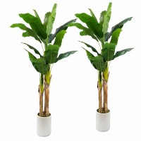 Faux Banana Trees, 2-Pack, 72 in, Indoor Décor