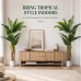 Faux Banana Trees, 2-Pack, 72 in, Indoor Décor