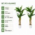 Faux Banana Trees, 2-Pack, 72 in, Indoor Décor
