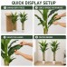 Faux Banana Trees, 2-Pack, 72 in, Indoor Décor