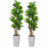 Faux Fiddle Leaf Fig Trees, 2-Pack, 78 in, Planters Included Indoor Décor