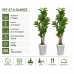 Faux Fiddle Leaf Fig Trees, 2-Pack, 78 in, Planters Included Indoor Décor Faux Fiddle Leaf Fig Trees, 2-Pack, 78 in, Planters Included Indoor Décor