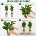 Faux Fiddle Leaf Fig Trees, 2-Pack, 78 in, Planters Included Indoor Décor Faux Fiddle Leaf Fig Trees, 2-Pack, 78 in, Planters Included Indoor Décor