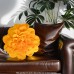 3D Flower Cushion, 50 x 50cm Decorative Blossom Accent Backrest Pillow for Sofa, Home Decor, Bedroom (Yellow) - B6O-YLW