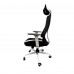 Mesh Gaming Chair, Ergonomic Office Chair with Lumbar Support, Headrest, Armrest for Office, Home, Gaming - RBX01