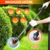 Cordless Grass Trimmer, 3 Blade Types, 2 Batteries, 6-Inch