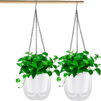2 Pack Self-Watering Hanging Planters, Clear Plastic Indoor Outdoor Flower Pots with Drainage Holes & Cotton Rope, 4.5” Round Plant Baskets with Metal Hanging Chains – Ideal for Houseplants, Herbs, and Flowers