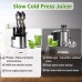 OHTE Slow Masticating Juicer, 250W Stainless Steel Slow Cold Press Juicer Machine with 100mm Large Feed Chute for Vegetables and Fruit - OHCL2023S