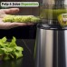 OHTE Slow Masticating Juicer, 250W Stainless Steel Slow Cold Press Juicer Machine with 100mm Large Feed Chute for Vegetables and Fruit - OHCL2023S