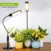 LED Grow Light, 50 LEDs Warm Grow Light with Adjustable Gooseneck for Indoor Plants, Desk - X003Z1F5LB