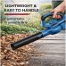 20V Cordless Leaf Blower, 4.0Ah Battery & Charger Included, up to 460 CFM, 190 MPH, 2-in-1 Electric Blower for Yard, Driveway, Patio & Garage