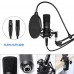 UHURU Condenser Microphone Set, Professional Studio Cardioid Microphone Kit with Boom Arm, Shock Mount for Streaming, Recording, Podcasts, YouTube - XM900