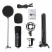 UHURU Condenser Microphone Set, Professional Studio Cardioid Microphone Kit with Boom Arm, Shock Mount for Streaming, Recording, Podcasts, YouTube - XM900