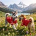 Dog Jersey Shirt Red Pet T-Shirt for Small Medium Large Dogs Breathable Sport Style Puppy Clothes Canada Day Pet Outfit for Walking, Photos, Parties, Outdoor Size L Dog Jersey Shirt Red Pet T-Shirt for Small Medium Large Dogs Breathable Sport Style Puppy Clothes Canada Day Pet Outfit for Walking, Photos, Parties, Outdoor Size L