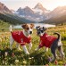 Dog Jersey Shirt Red Pet T-Shirt for Small Medium Large Dogs Breathable Sport Style Puppy Clothes Canada Day Pet Outfit for Walking, Photos, Parties, Outdoor Size L Dog Jersey Shirt Red Pet T-Shirt for Small Medium Large Dogs Breathable Sport Style Puppy Clothes Canada Day Pet Outfit for Walking, Photos, Parties, Outdoor Size L