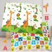 Baby Foldable Playmat, 200 x 180 cm Large XPE Playmat, Reversible, Waterproof, Anti-Slip (Animals & Jungle)