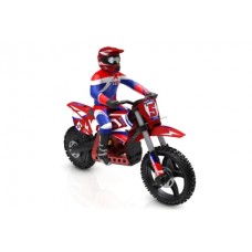 SKYRC SR5 1:4 SCALE RC DIRT BIKE