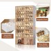 ANTBOX Portable Shoe Rack Organizer, Stackable Sneaker Organizer Cabinet with Magnetic Door, Folding Design, Clear Plastic Storage Container, 9 Tier 36 Pairs - SC2-D10B