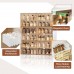 ANTBOX Portable Shoe Rack Organizer, Stackable Sneaker Organizer Cabinet with Magnetic Door, Folding Design, Clear Plastic Storage Container, 6 Tier 24 Pairs (Clear) - SC2-D6(C)