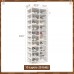 ANTBOX Portable Shoe Rack Organizer, Stackable Sneaker Organizer Cabinet with Magnetic Door, Folding Design, Clear Plastic Storage Container, 10 Tier 20 Pairs (Clear) - ST2-D10