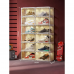 ANTBOX LED Shoe Box with Sound Control Lights, Shoe Storage Organizer with Magnetic Doors, 4 Layers, 8 Grids (8 Pairs) - STA2-D8