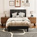 ODIKA Side Table, Cartography Cube Side Table with 2 Drawers for Home, Living Room, Bedroom - ET-PT-BR-81023 