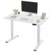 Electric Standing Desk, 120 x 60 cm Steel Adjustable Height Desk, Quick Assembly, Ultra-Quiet Motor - SM22F-05R-1260