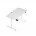 MSW Electric Standing Desk, 110 x 60 cm Steel Adjustable Height Desk, Quick Assembly, Ultra-Quiet Motor - V3-1160