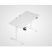 MSW Electric Standing Desk, 110 x 60 cm Steel Adjustable Height Desk, Quick Assembly, Ultra-Quiet Motor - V3-1160