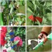 Garden Tapetool Binding Machine Plant Vegetable Hand Tying Binding Tool