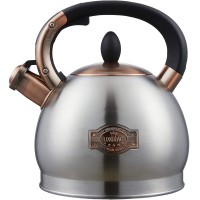 LUXGRACE 2.8 QT Tea Kettle, Whistling Tea Pot with Silicone Handle, Stainless Steel for Stovetops (Silver) - T04