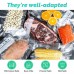 Vacuum Sealer Rolls 3 Pack 8 in and 11 in 150 ft Total