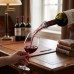 Bottle Pourer Spout, Drip-Control Clear Dispenser, 16 cm