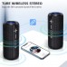 F21 RGB LED Wireless Speaker, Portable Blueooth Speaker with TWS, IPX6 Waterproof, LED Lights, TF Card Slot for Home, Travel, Parties, Beach (Black)