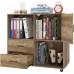 Wooden File Cabinet, Lateral Filing Cabinet Printer Stand with Wheels, 2 Drawers, Storage Shelves, Door Cabinet for Home, Office - HMC-MW-027